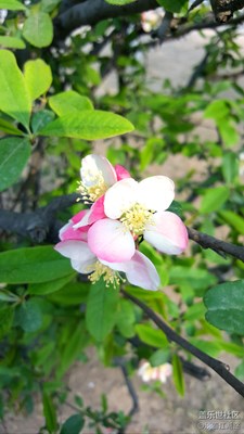 天氣不錯(cuò)   隨意拍點(diǎn)