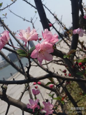 照片