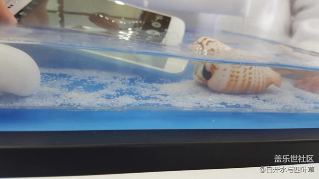 webwxgetmsgimg (12).jpg