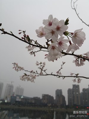 隨手拍記