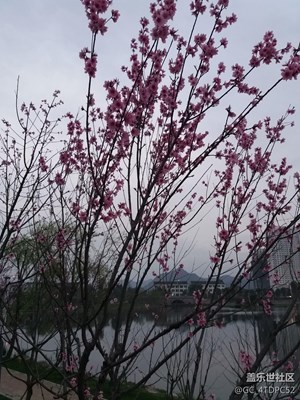 蒼南