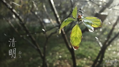【開獎】攝影周賽活動第三期——【清明踏春游】