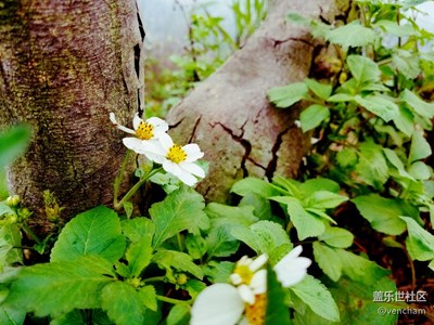 上班路上發(fā)春