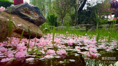 西安牡丹園