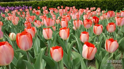北京植物園