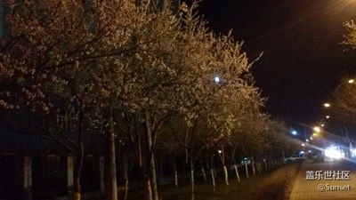 春暖花開(kāi)~