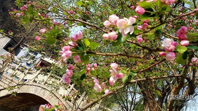 人工開(kāi)的洞