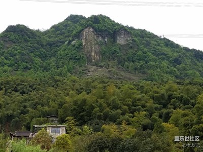 隨拍