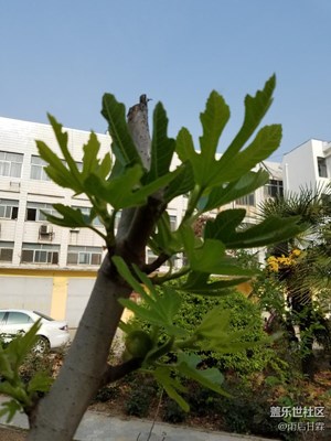 機(jī)關(guān)院內(nèi)