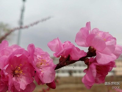 隨拍