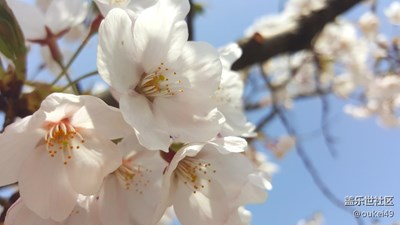 誰說s6e 6.0拍照不好