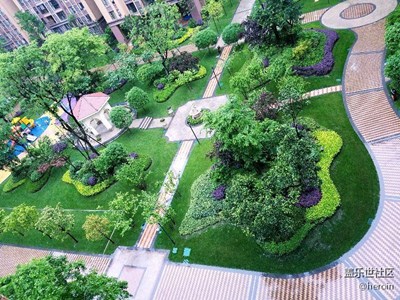 下雨了，窗外空氣如此清晰