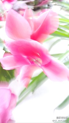小花