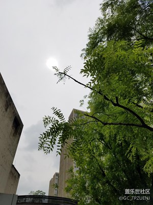 日月同輝