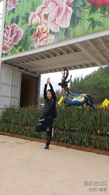 愛不一樣 夜游精靈