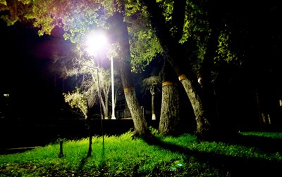 校園夜色