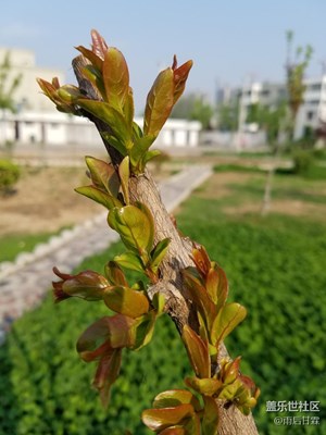 生長，充滿著力量！