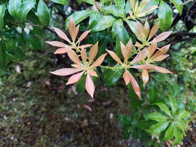 最愛(ài)拍近景（S7edge）