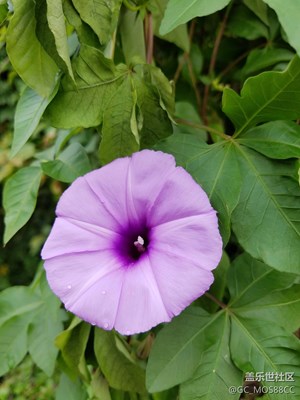   近距離產(chǎn)生美