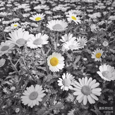 花了五個(gè)小時(shí)拍攝精簡出來的