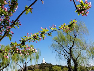 美麗的北海公園 by s7edge