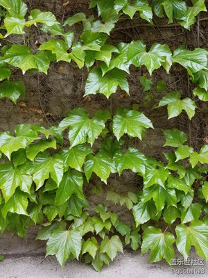 大家說三星S7 E 拍照怎么樣？