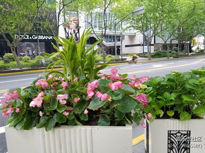 都市清晨。