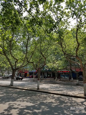 誰能在照片上找到喜鵲？