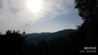 清晨慢跑的遇見