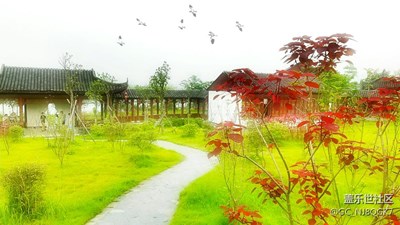 春天的色彩