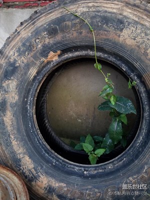 五一假期工地凝固的瞬間