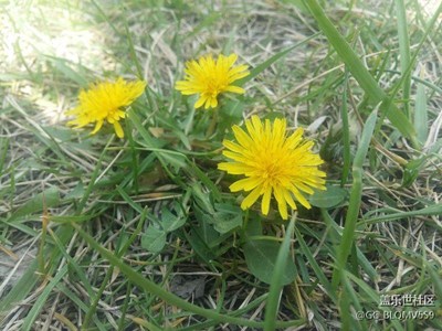 呵呵！買不起s7！用這個(gè)拍