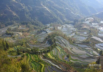 梯田