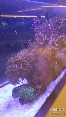 好久沒有來了。