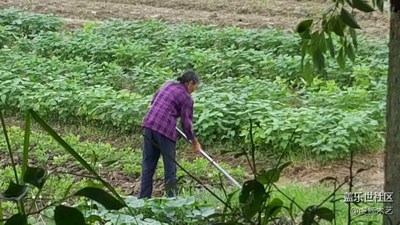 【勞動者的歌】+贛州+媽媽是一幅勞作的畫（1）