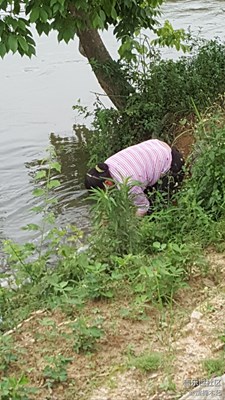 【勞動者的歌】+贛州+媽媽是一幅勞作的畫（3）