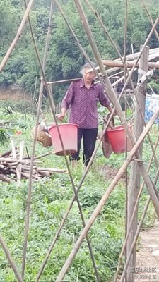 【勞動者的歌】+贛州+媽媽是一幅勞作的畫（8）
