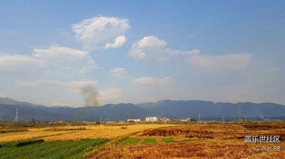 收割的季節(jié)，宛如油畫