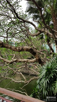 剎那即永恒，不驚不躁