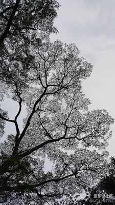 愛(ài)不一樣 留住剎那