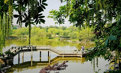 花開時節(jié)，瞬間美好
