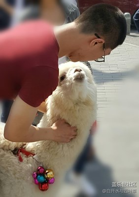 【可愛的它】+北京+深情對望