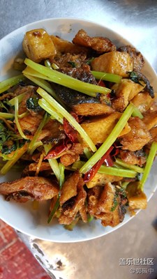 來來來我請大家吃魚