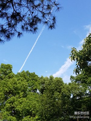 飛機(jī)