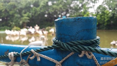 拍照堪比單反的三星S7 大光圈迷人焦外完爆iPhone 6s