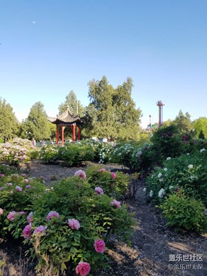 每日一圖