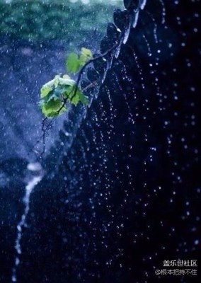 倚樓聽(tīng)風(fēng)雨（轉(zhuǎn)）