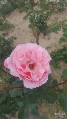 不會用專業(yè)模式了~