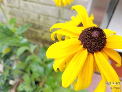 愛(ài)不一樣的燦爛