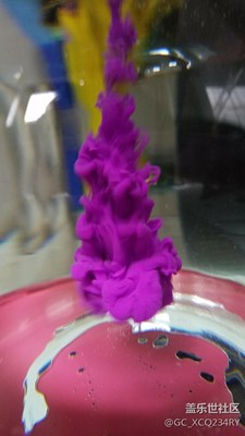 水中綻放的花朵